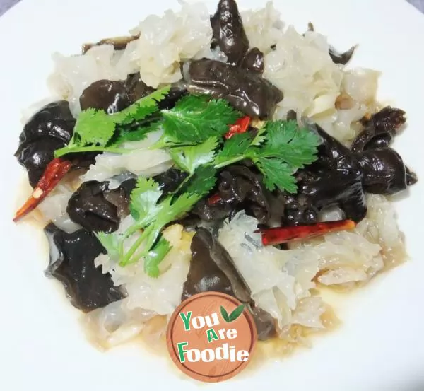 Tossed Black and White Fungus