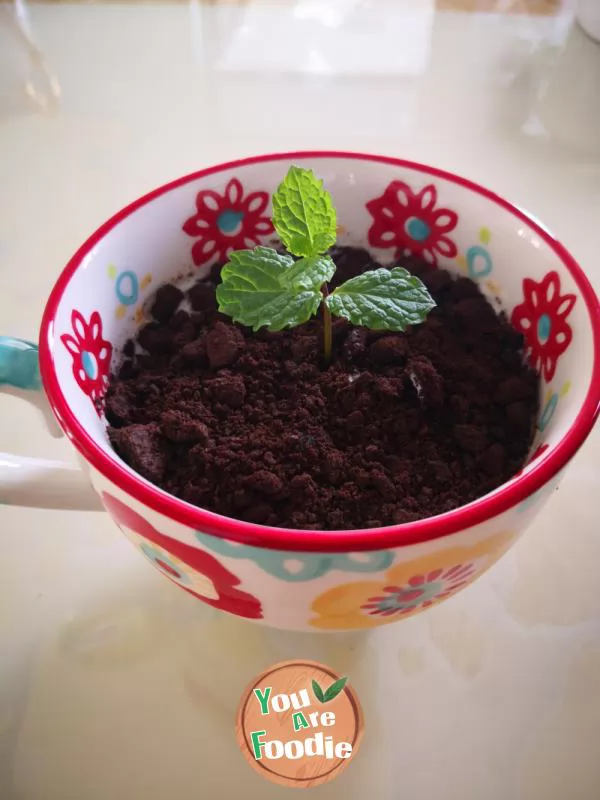 Oreo yogurt pot