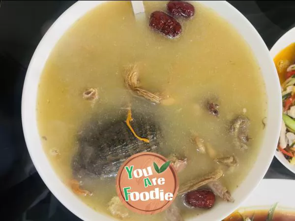 Turtle-and-pigeon-soup