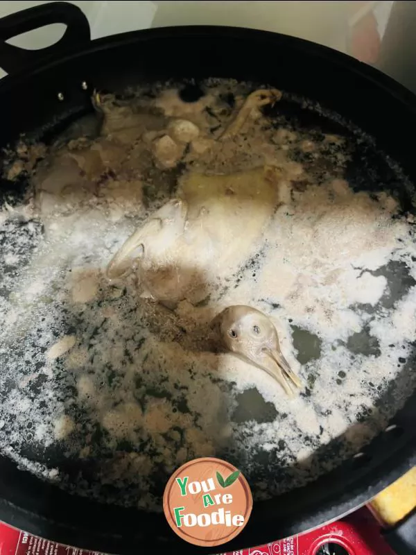 Turtle and pigeon soup