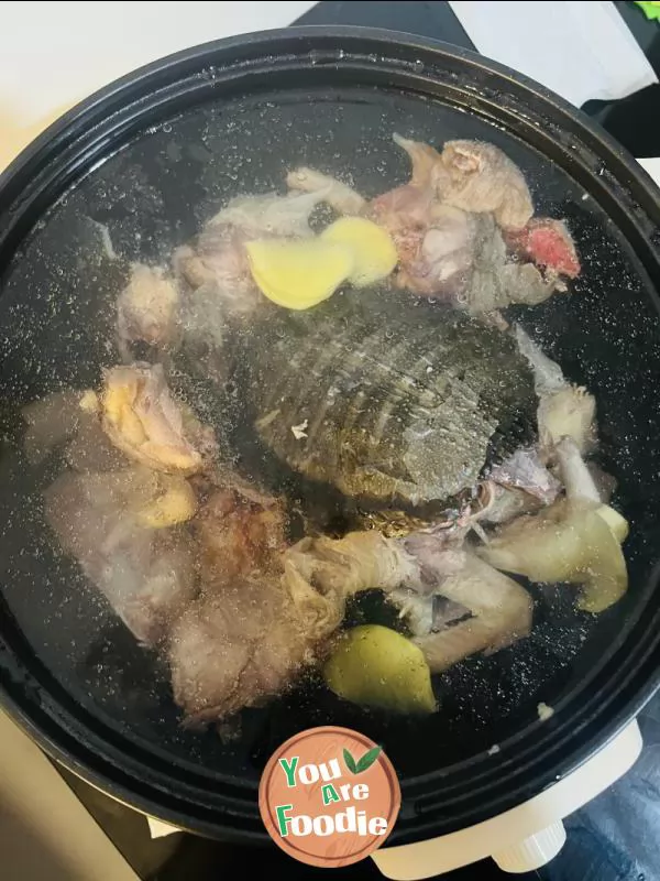 Turtle and pigeon soup