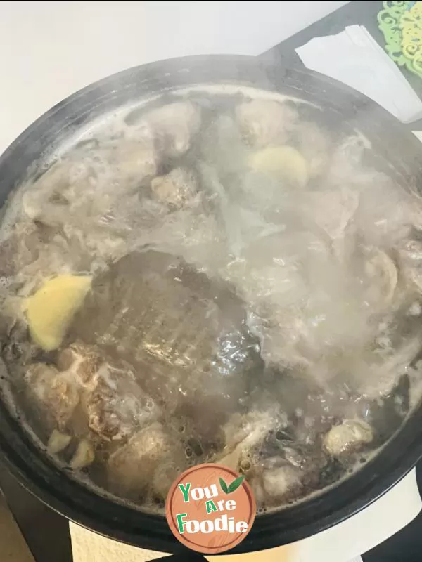 Turtle and pigeon soup