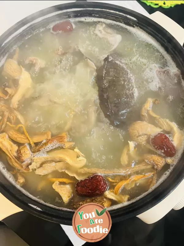 Turtle and pigeon soup