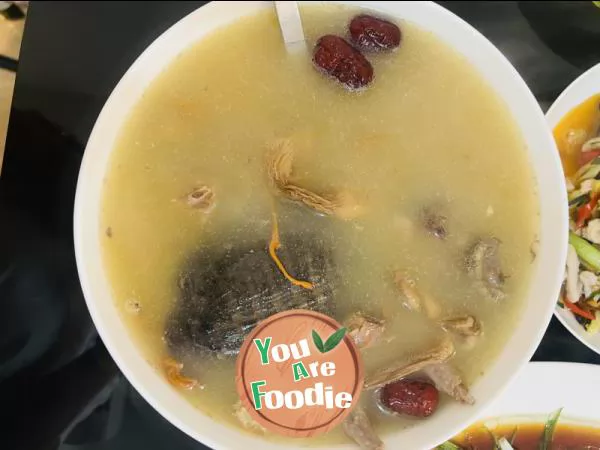 Turtle and pigeon soup