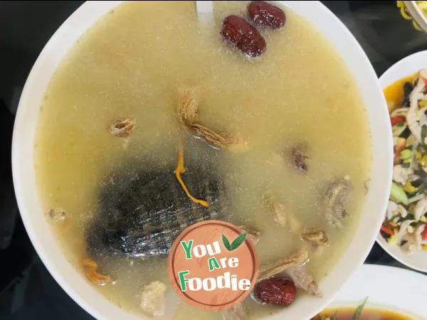 Turtle and pigeon soup