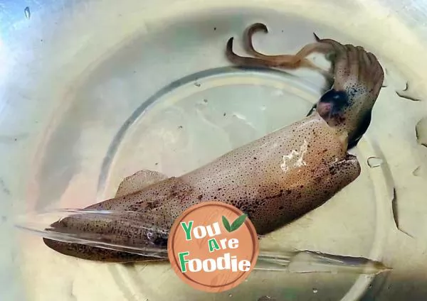 Scalded squid