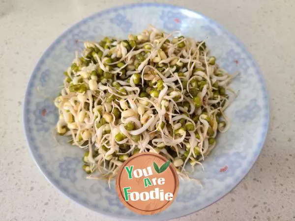 Stir fried mung bean sprouts with Mingyue grass