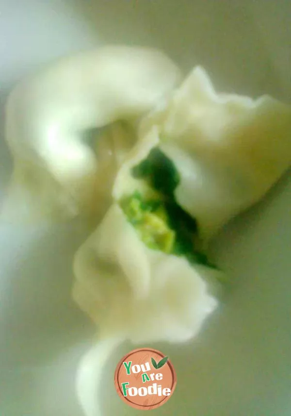 Dumplings with leek and egg