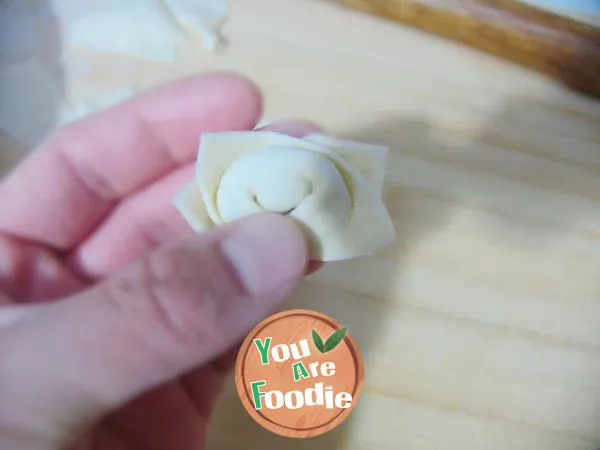 Super detailed illustration of wonton practice - pan fried wonton