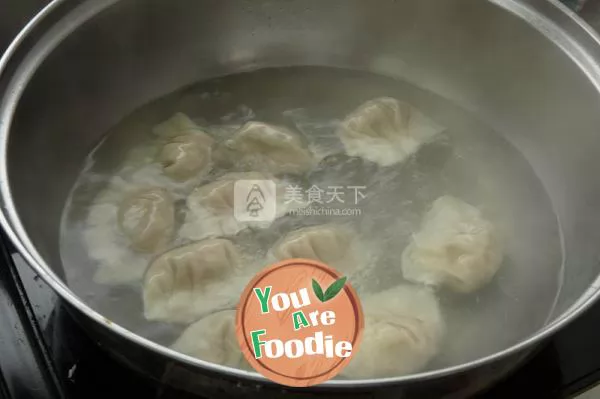 Dumplings in beef soup