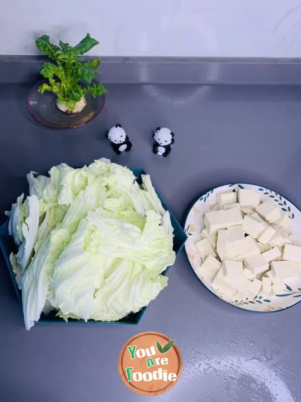 Chinese Cabbage and Tofu Soup