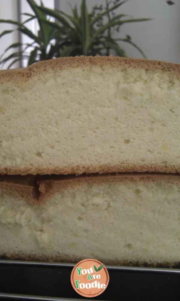 Chiffon-Cake