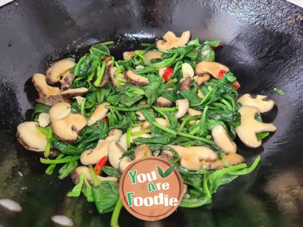 Stir fried Mushroom with Mingyue Grass