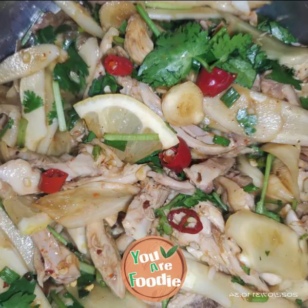 Fat reducing recipe - low fat Lemon Hand shredded chicken