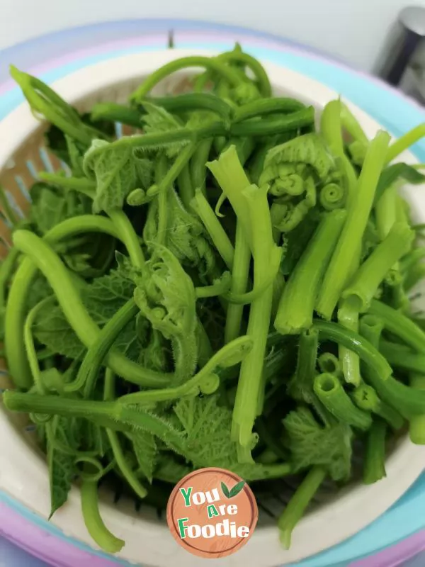 Stir fried pumpkin seedlings