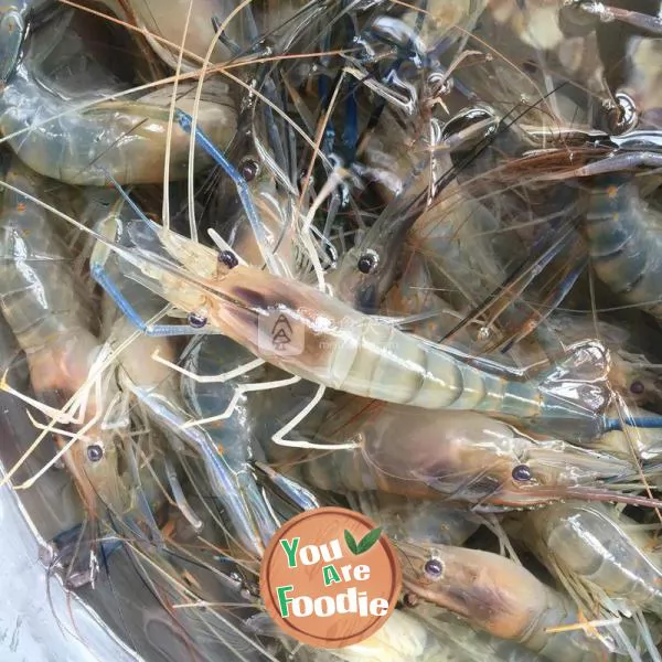 Fried shrimp in oil