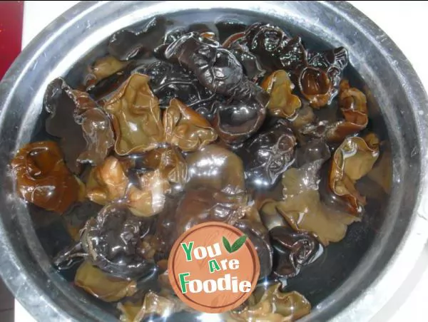 Black fungus