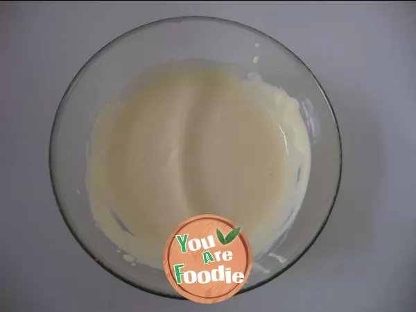 Yogurt light cheese