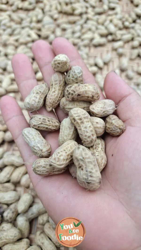 Boiled peanuts 