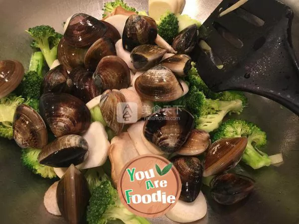 Clam broccoli (fresh vegetable clam)