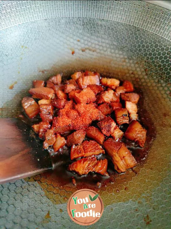 Stewed pork with rice