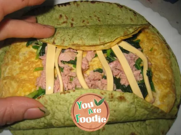 Tuna cheese egg spinach roll