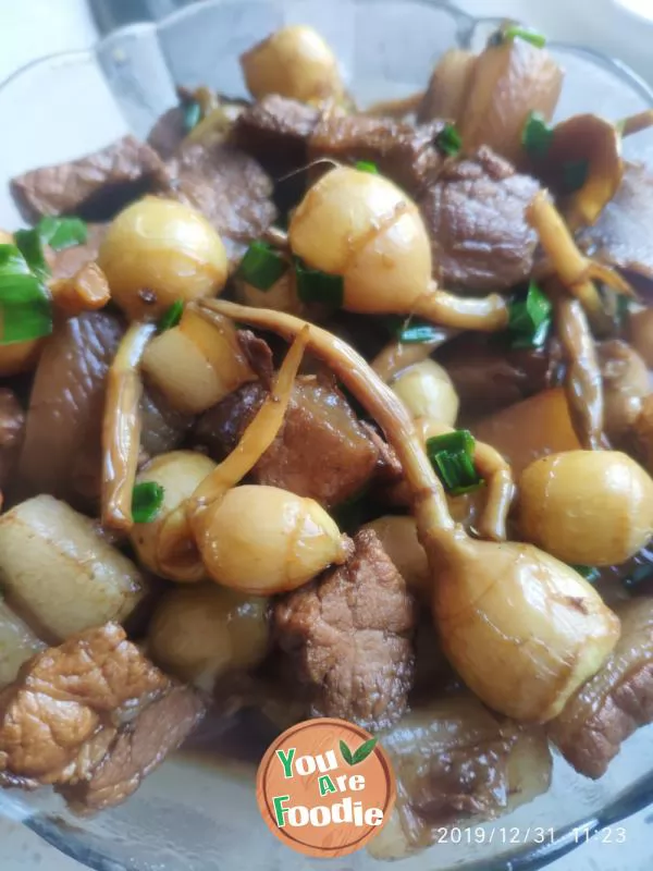 Stewed meat with mushroom