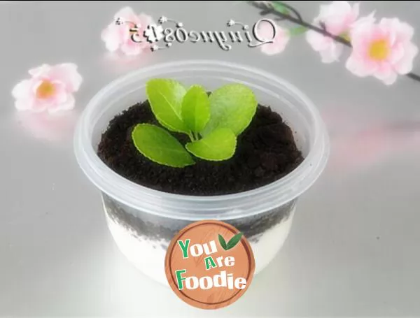 Oreo yoghurt bonsai