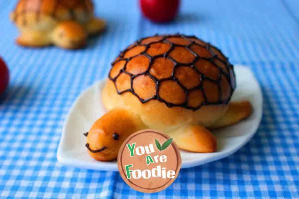 Turtle-stuffed-with-coconut