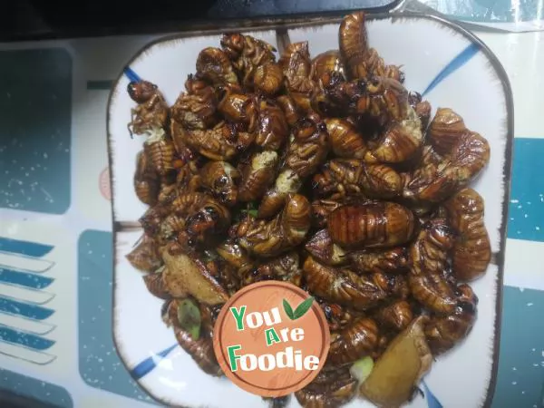 Dry-fried-cicada