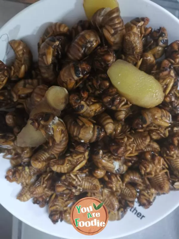 Dry fried cicada