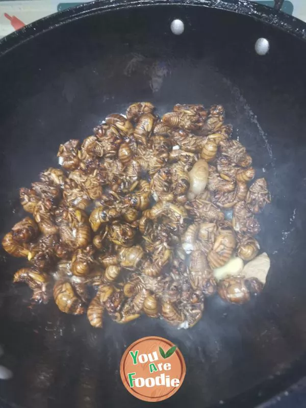 Dry fried cicada