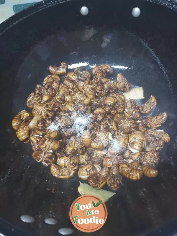 Dry fried cicada