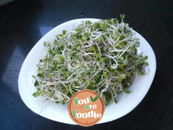 Stir fried sprouts