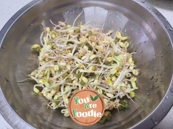 Stir fried green bean sprouts with cabbage