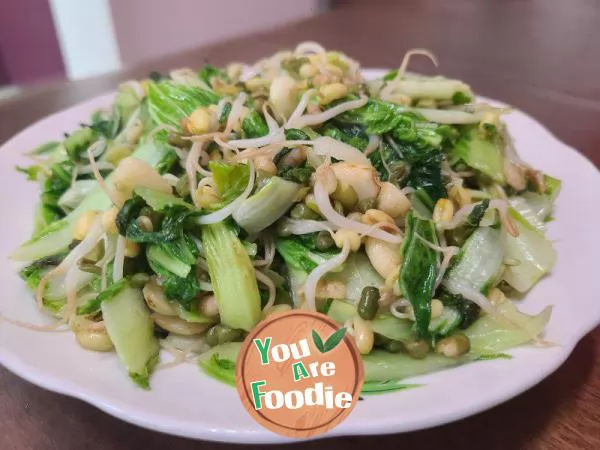 Stir fried green bean sprouts with cabbage