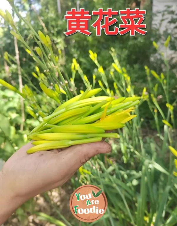 Stir fried green bean sprouts with yellow cauliflower