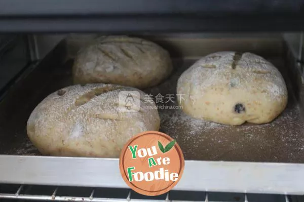 Whole wheat blueberry bread