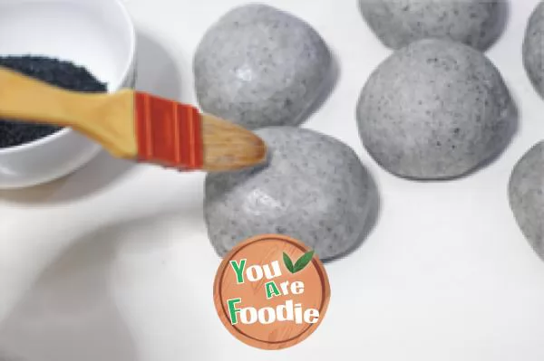 [black sesame meal bag]