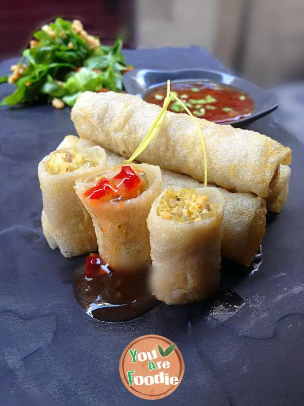 Vietnamese chicken spring rolls