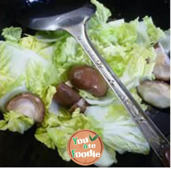 Mushroom oil gluten baby cabbage