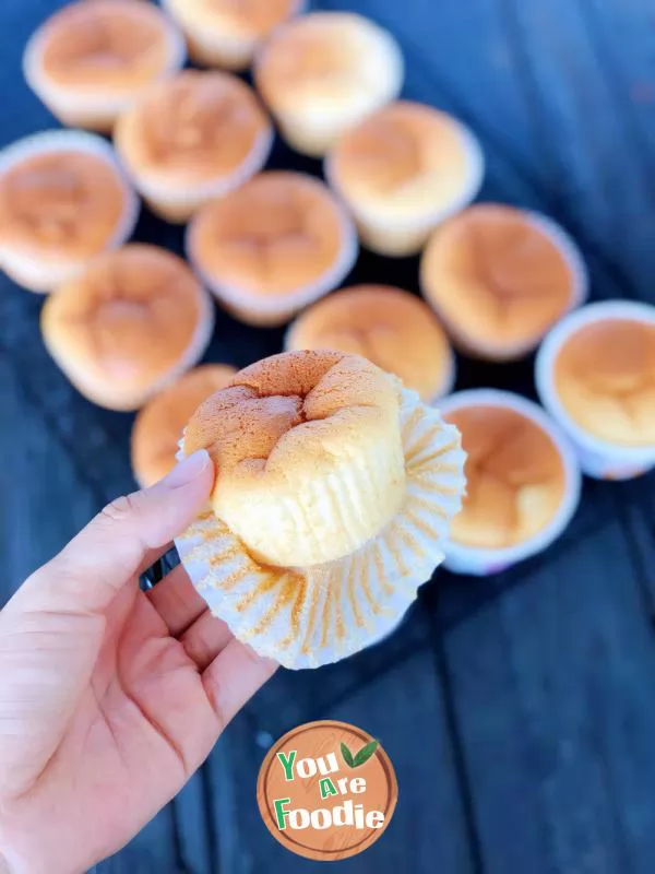 Golden Shredded Pork Floss Cupcake