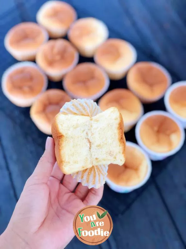 Golden Shredded Pork Floss Cupcake