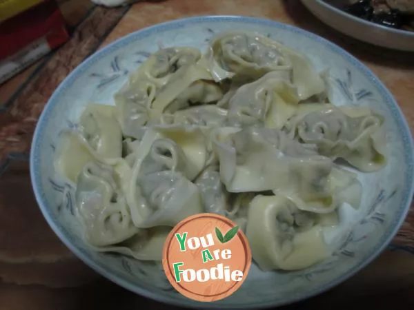 Big wonton