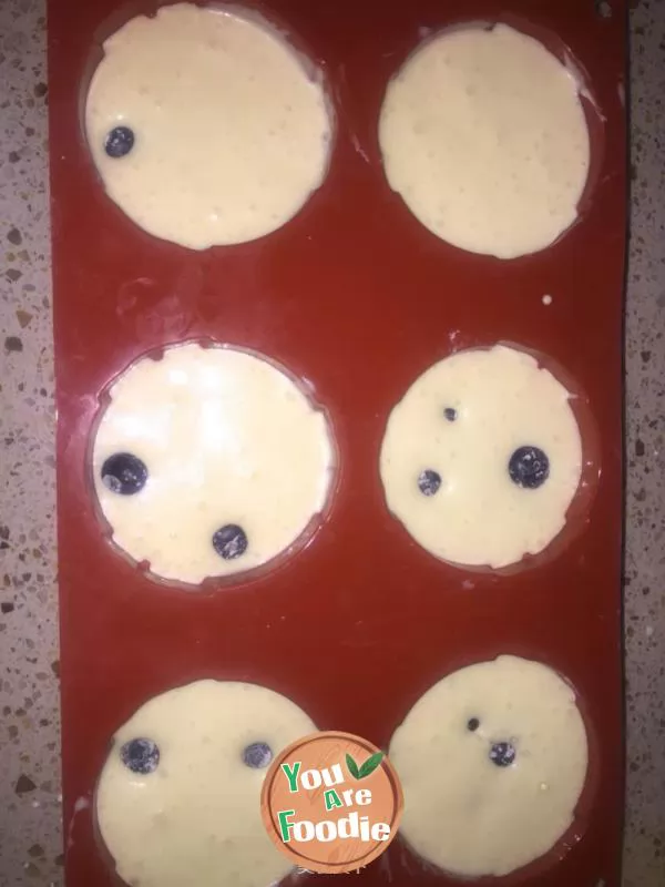 Blueberry light cheese cake