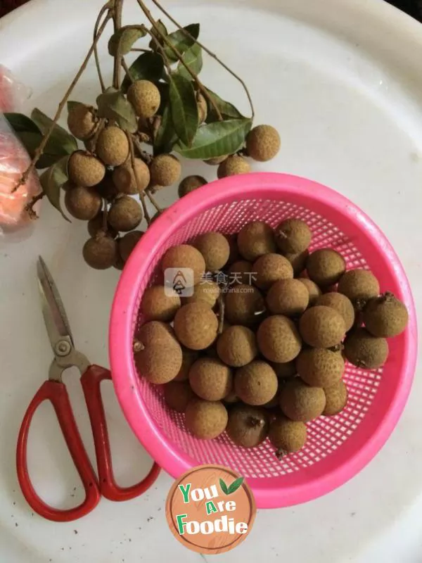 DIY dried longan