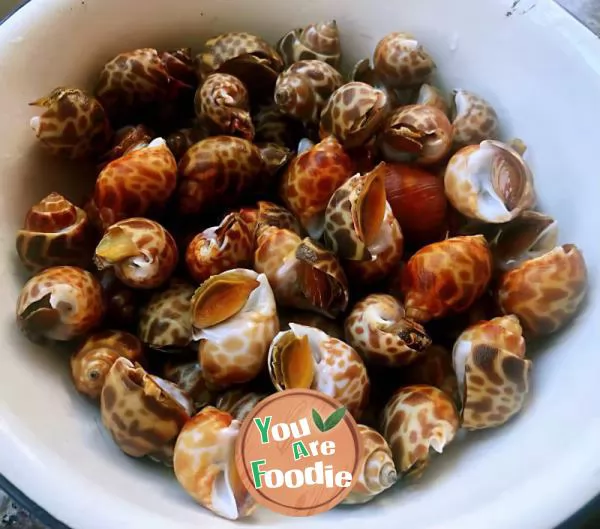 Spicy snails