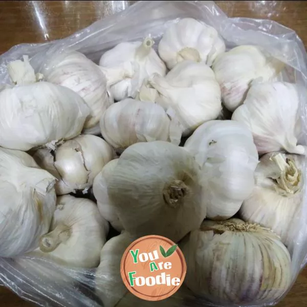 Laba garlic