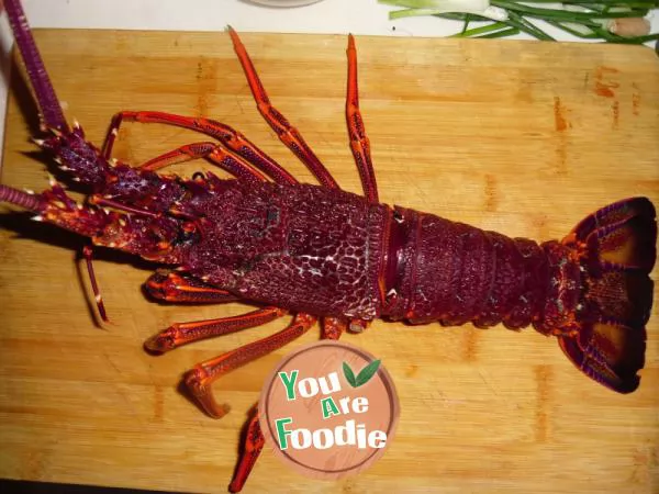 American lobster