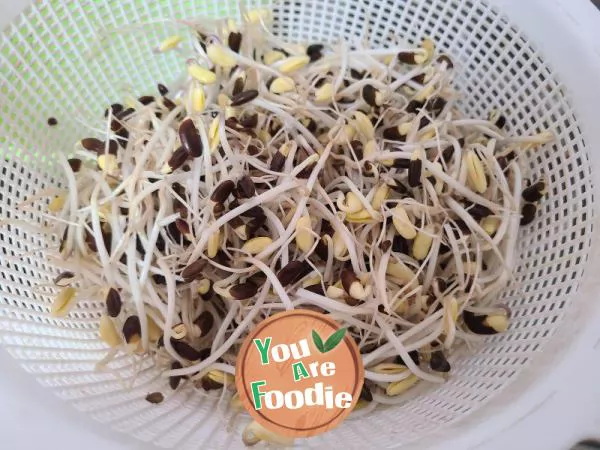 Fried Black Bean Sprouts with Cabbage